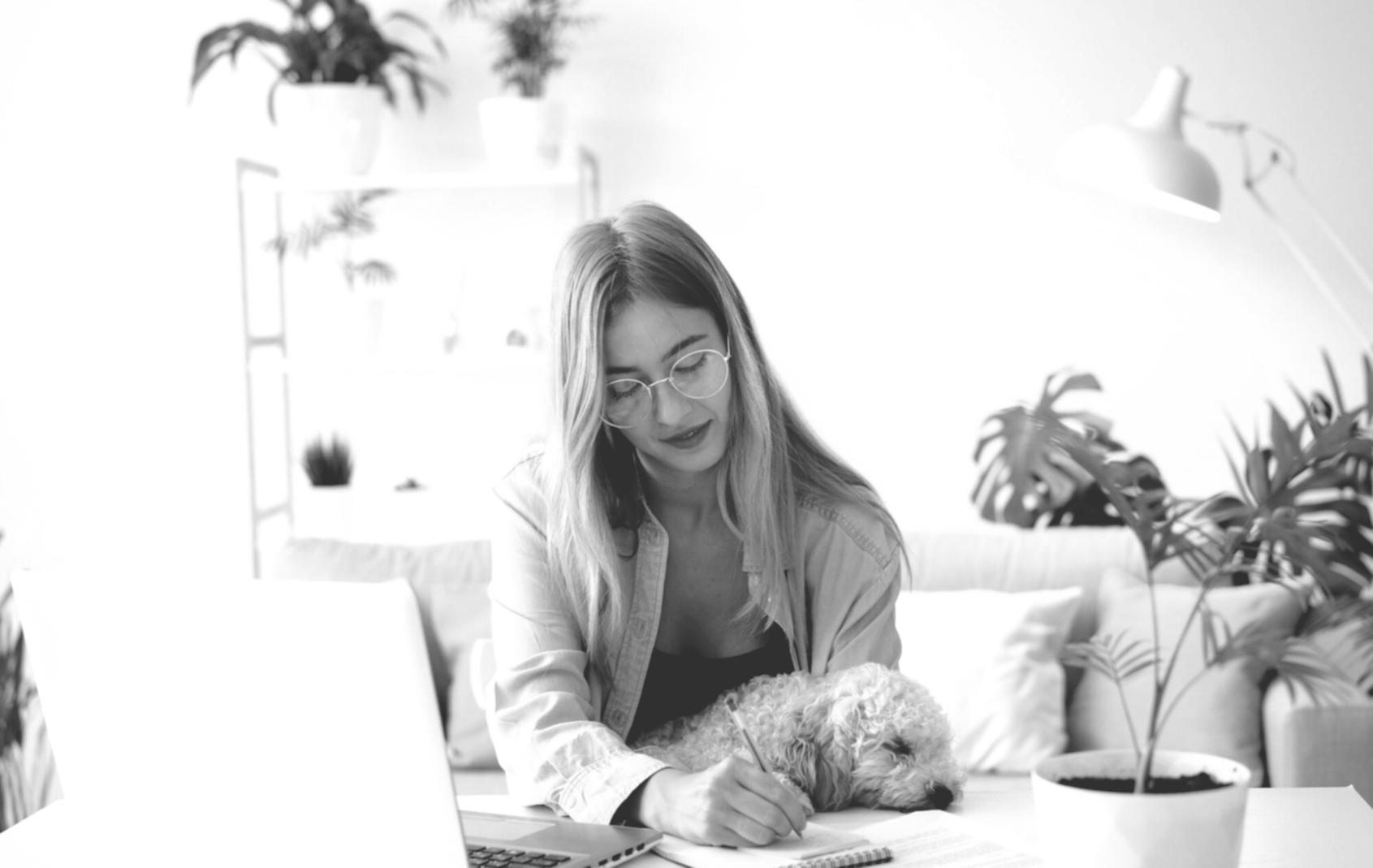 Équipe en séance de travail collaboratif
